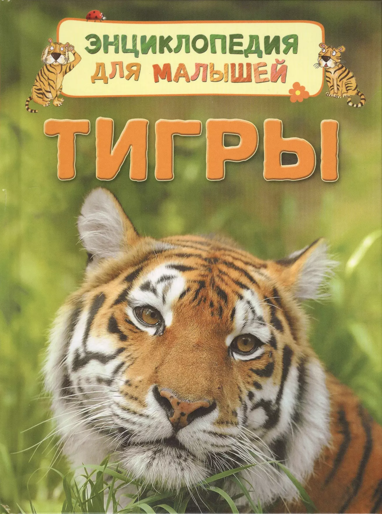 Книга тигра. Маклейн Джеймс 