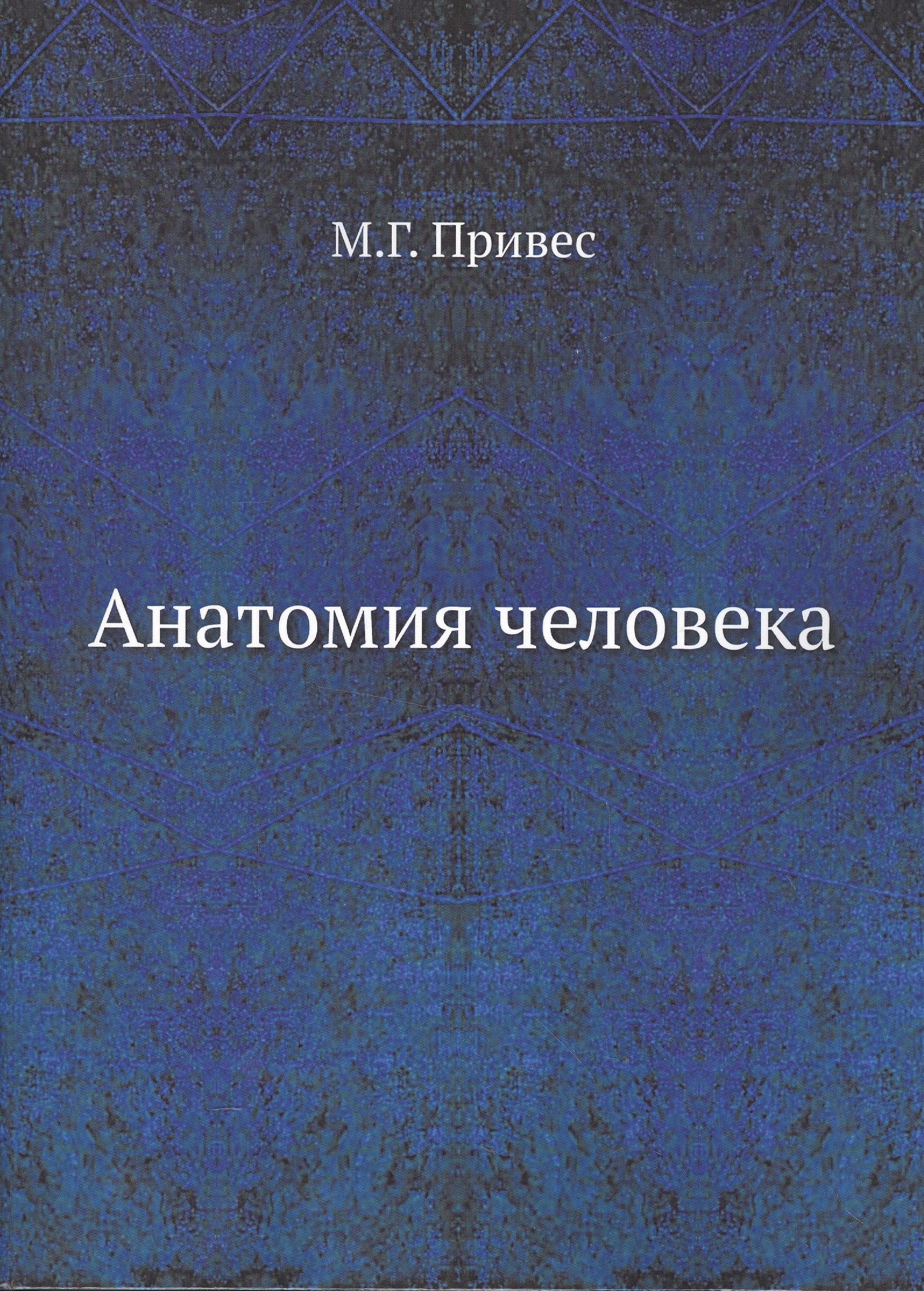 

Анатомия человека