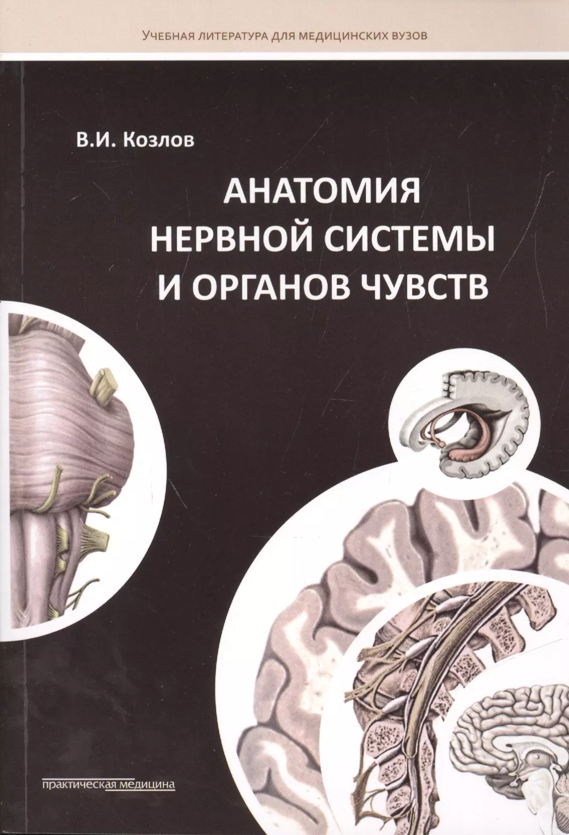 Козлов Валентин Иванович - Анатомия нервной системы и органов чувств: Учебное пособие.