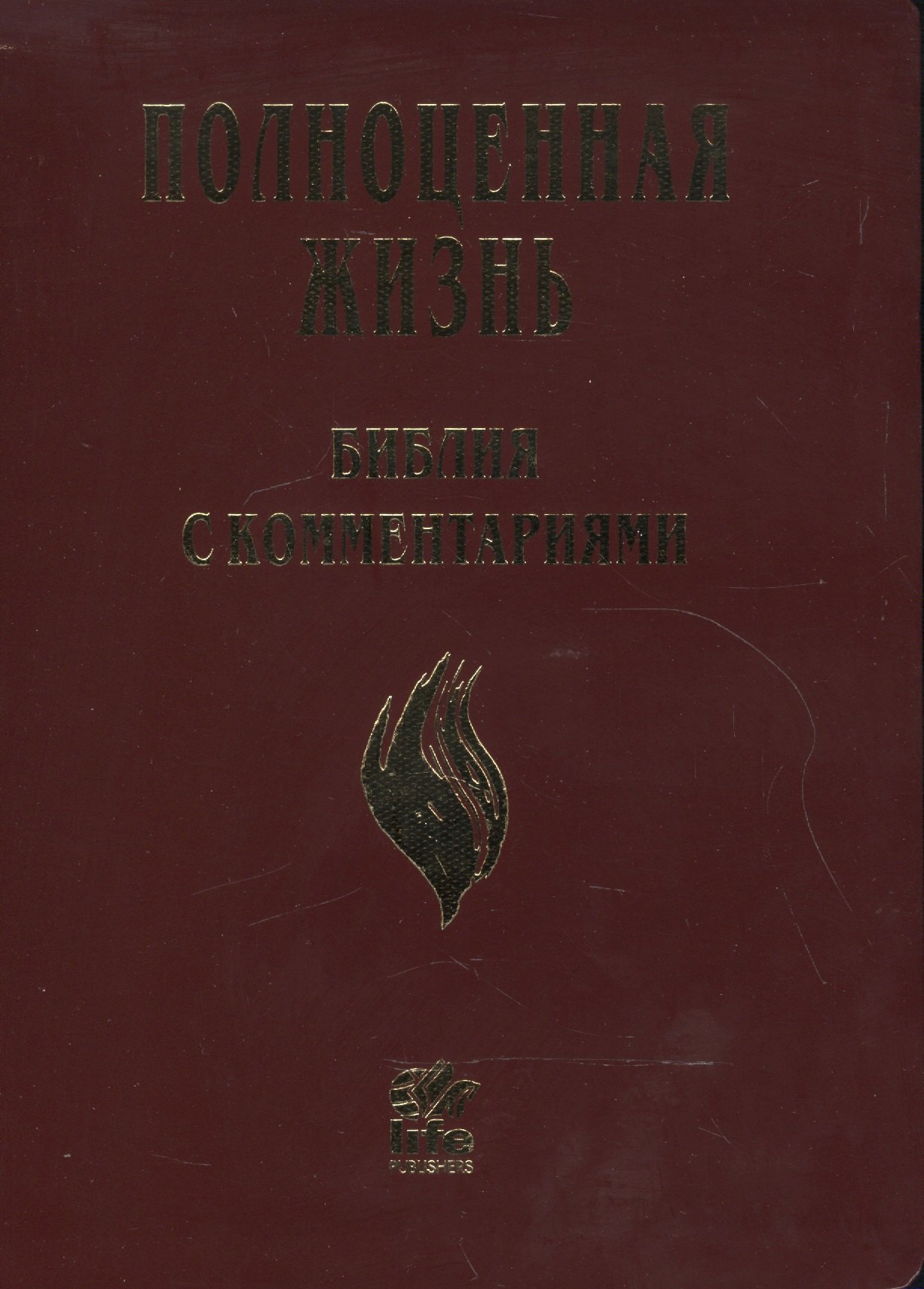 

Полноценная жизнь. Библия с комментариями