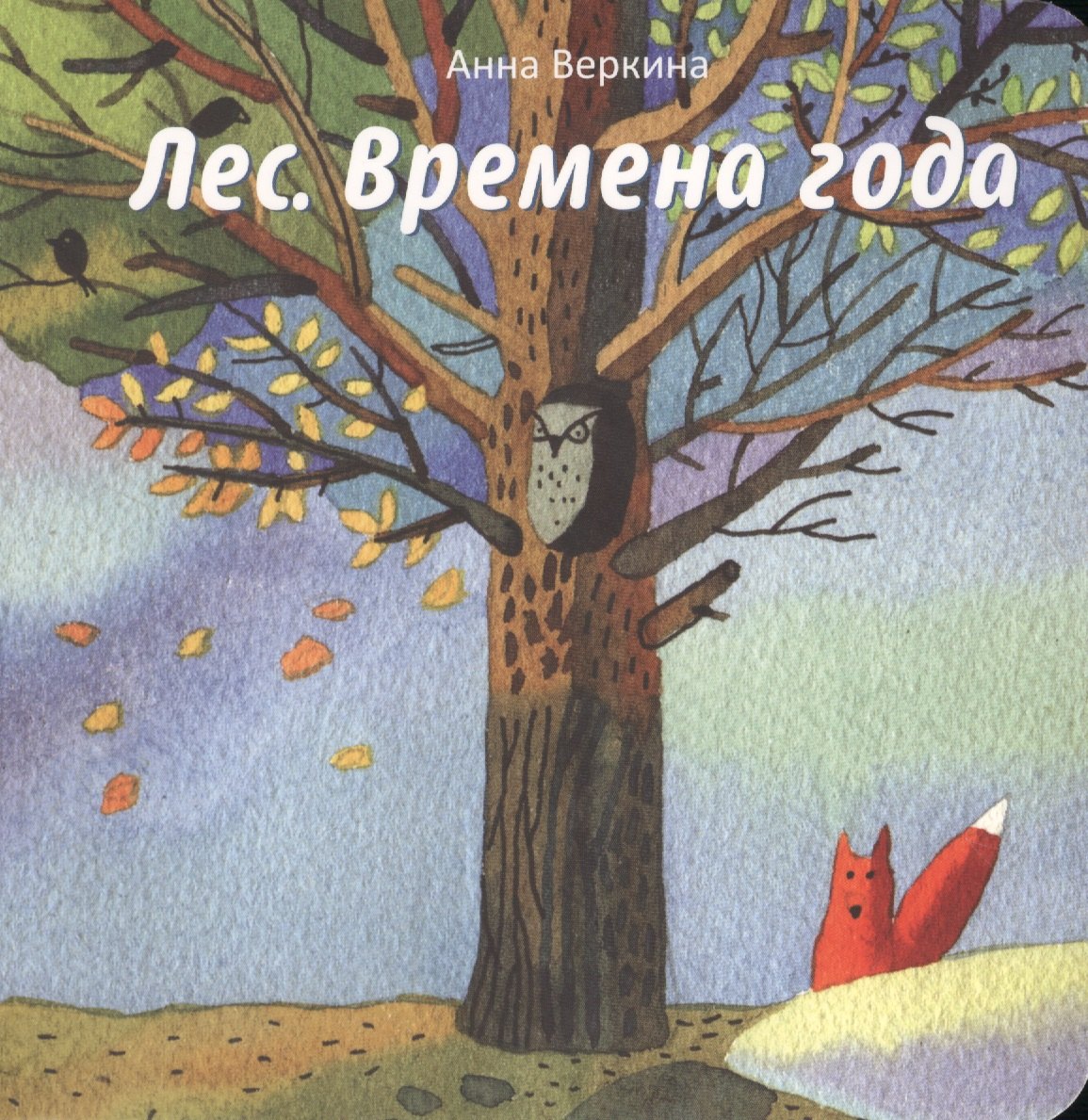 

Лес. Времена года