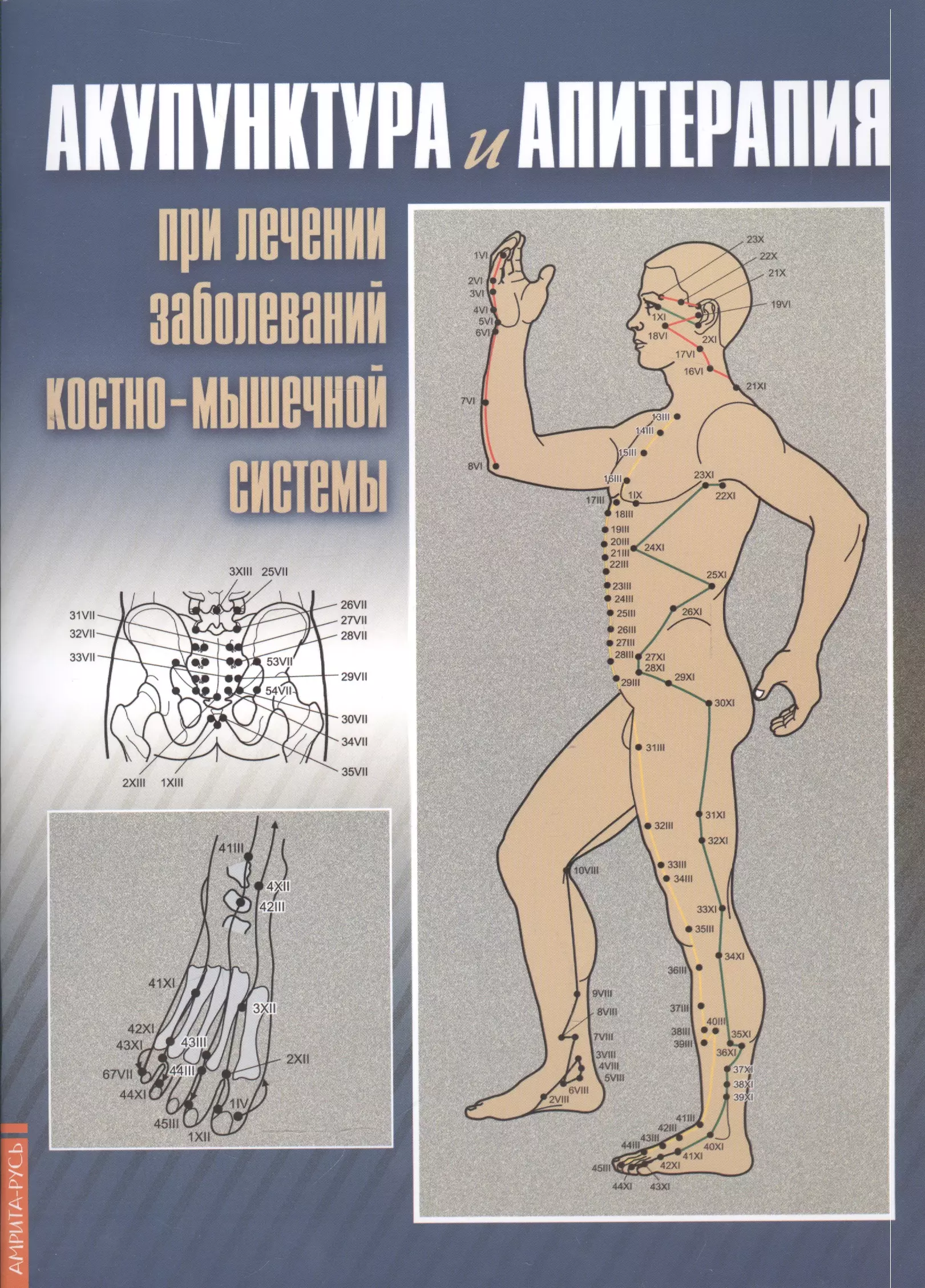 Усакова Нина Андреевна - Акупунктура и апитерапия при лечении заболеваний костно-мышечной системы. Практическое руководство