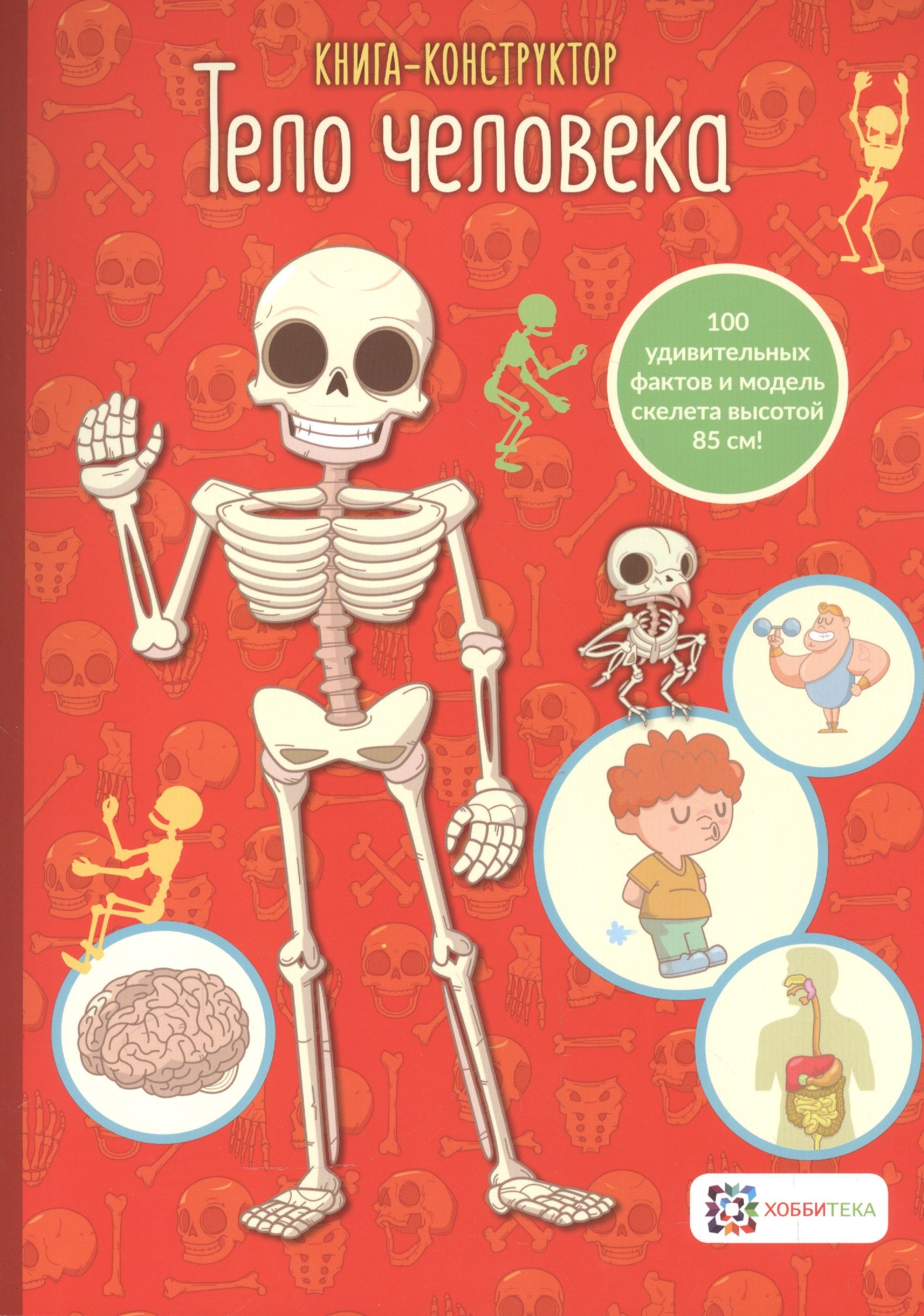 

Книга-конструктор. Тело человека