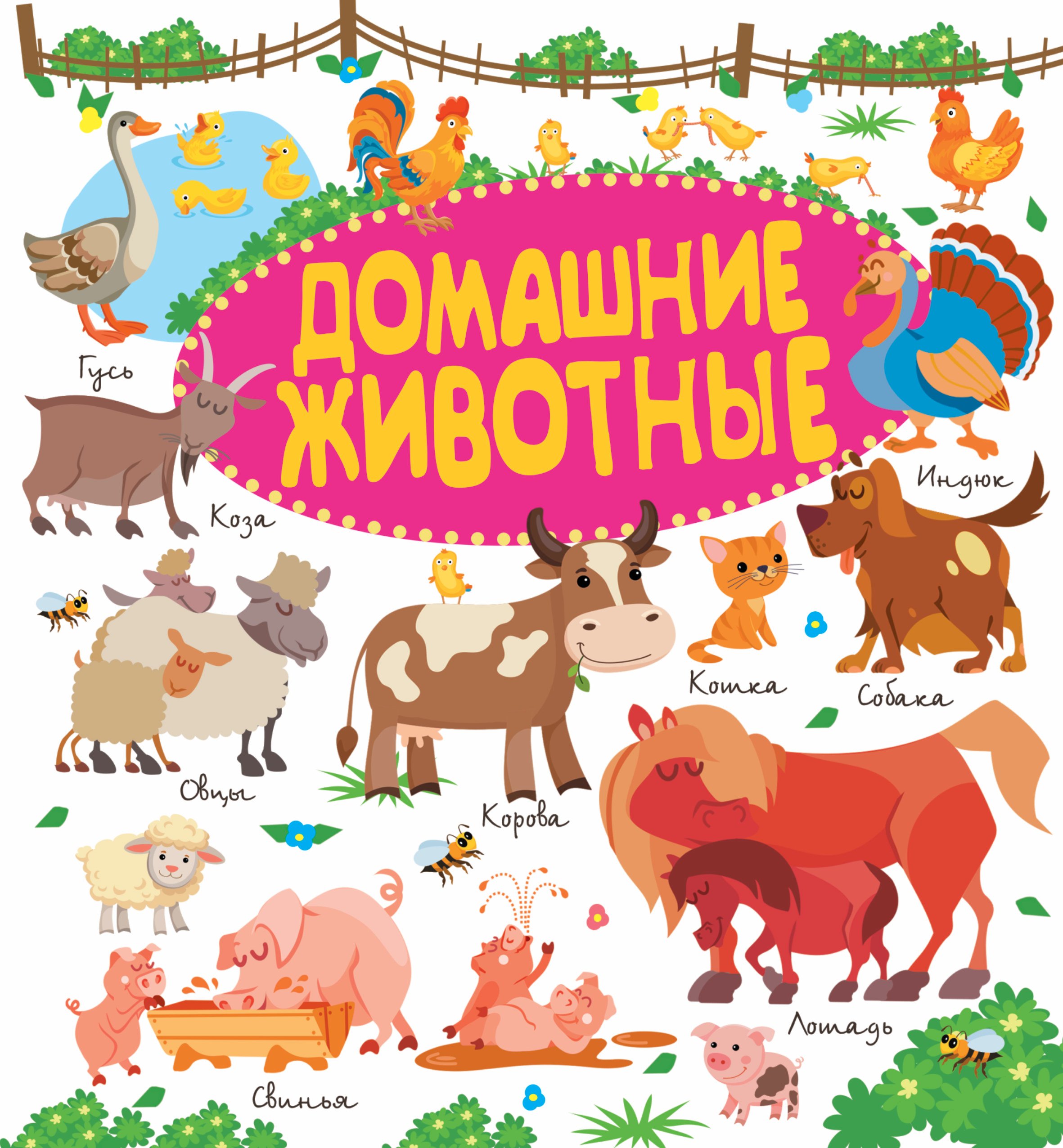 

Домашние животные
