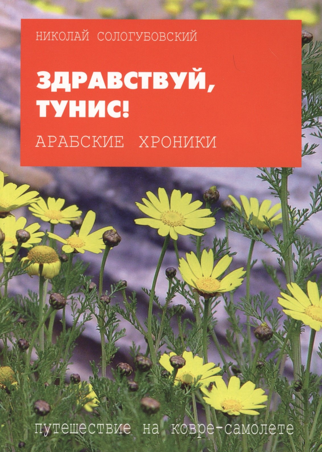 

Арабские хроники. Книга шестая. Здравствуй Тунис! Тем, кто любим, от тех, кто любит! Amo ergo sum! Люблю - значит, живу!
