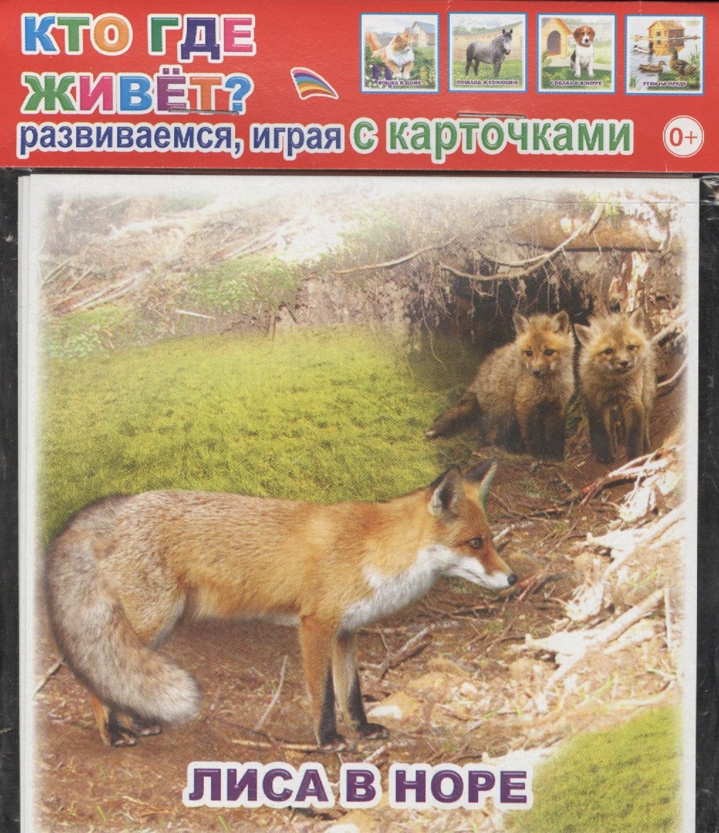 

Обучающие карточки. Кто где живет