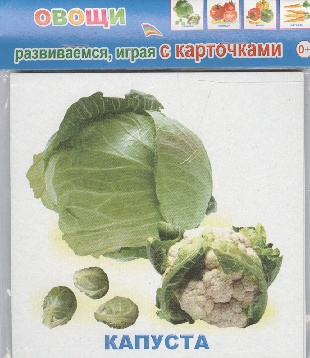 

Обучающие карточки Овощи (упаковка) (978-5-91282-664-1)