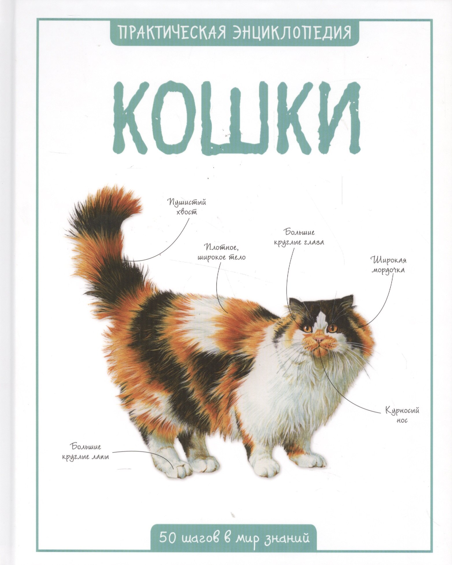 

Кошки