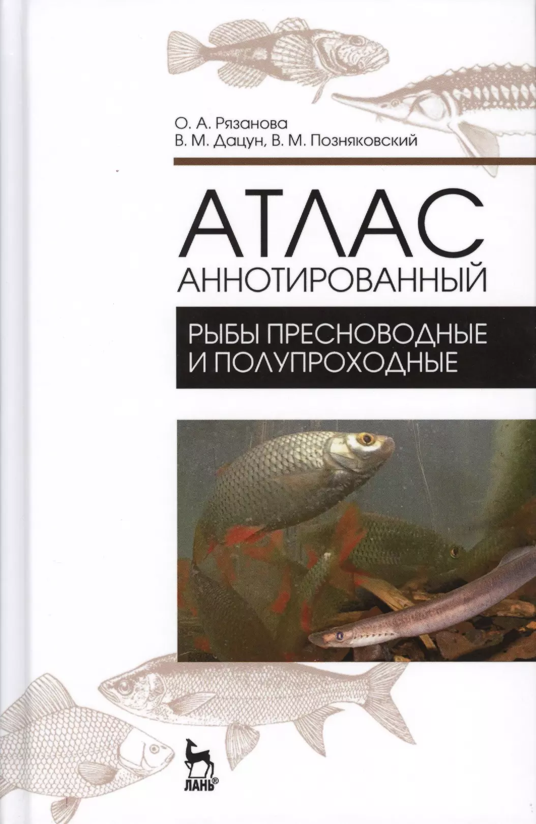 Рязанова Ольга Александровна - Атлас аннотированный. Рыбы пресноводные и полупрохордные. Учебно-справочн. пос., 1-е изд.