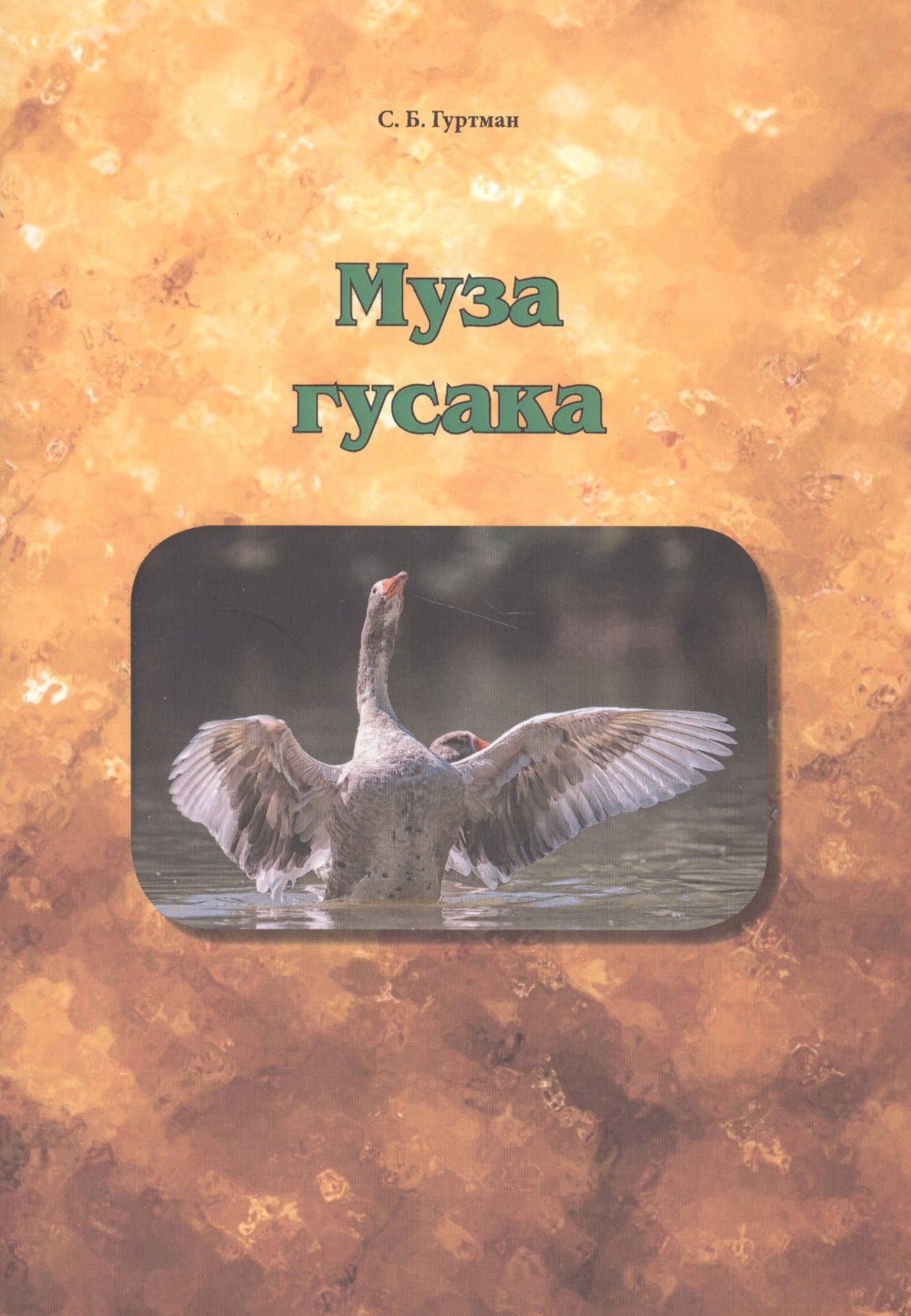 

Муза гусака.