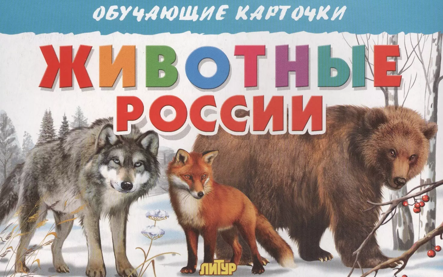 Надпись животные. Карточки. Животные России. Животные России для детей. Обучающие карточки 