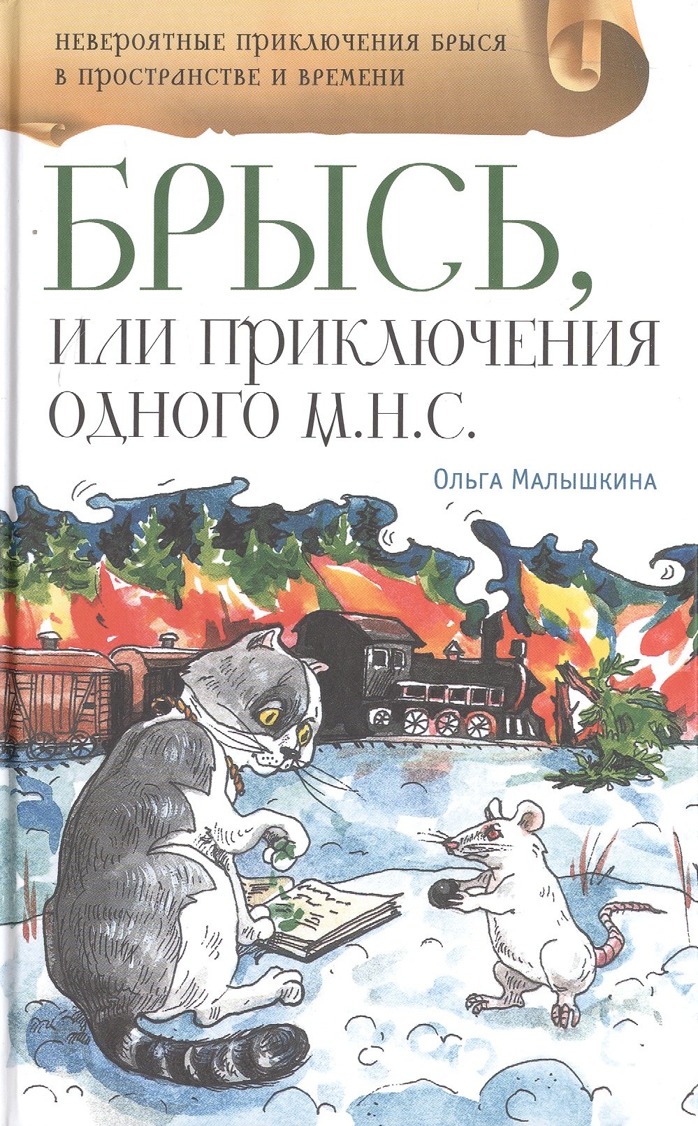 

Брысь, или Приключения одного м.н.с.