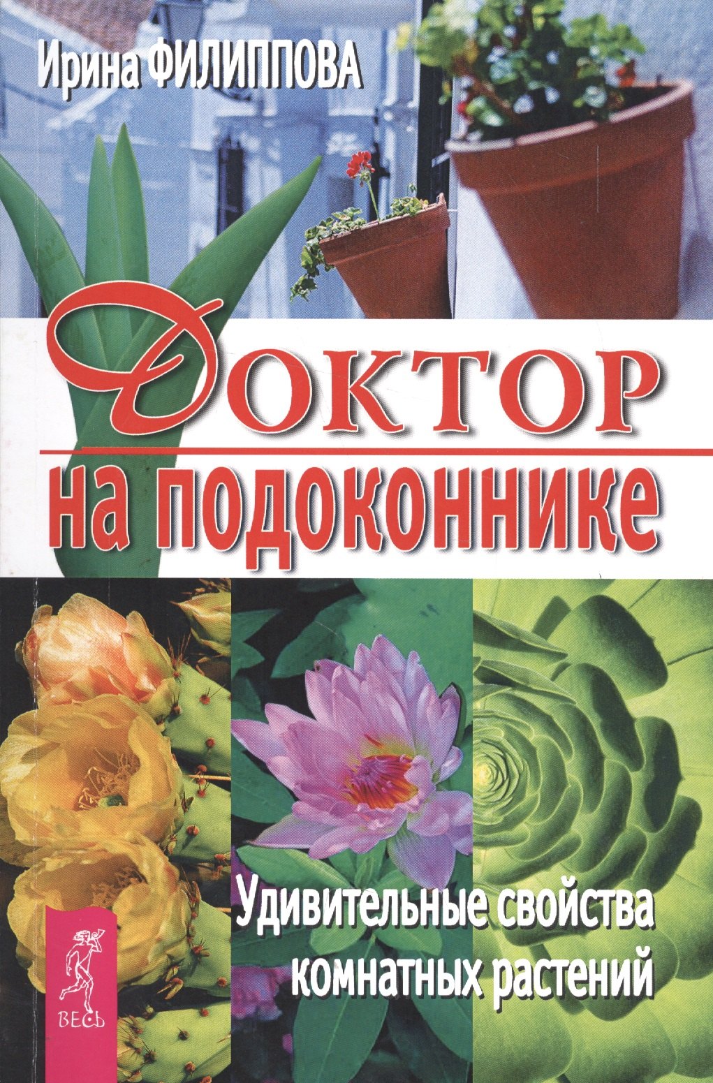

Доктор на подоконнике. Удивительные свойства комнатных растений