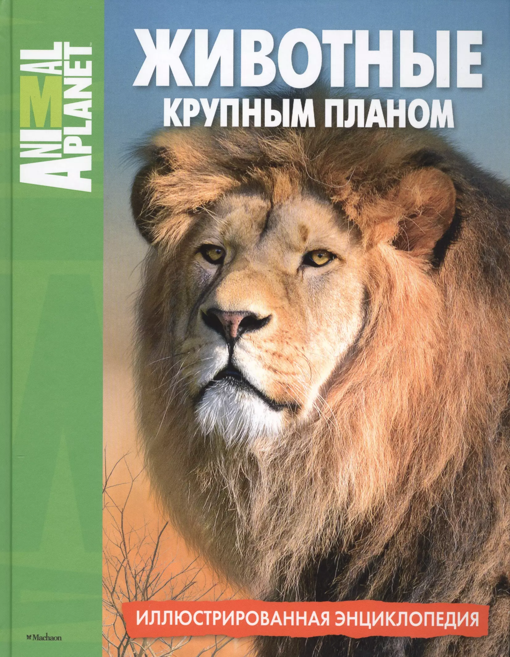 Animal planet. Иллюстрированная энциклопедия животных. Животные крупным планом. Иллюстрированная энциклопедия. Большая иллюстрированная энциклопедия животных. Животные крупным планом книга.