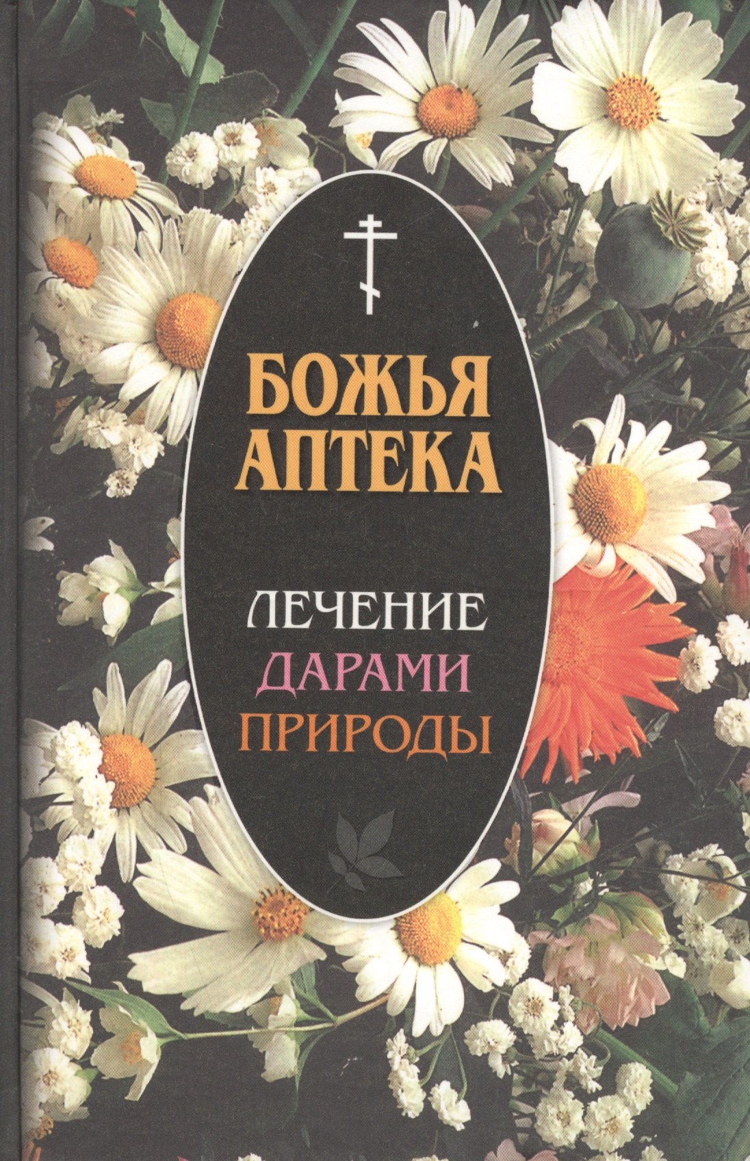 

Божья аптека. Лечение дарами природы