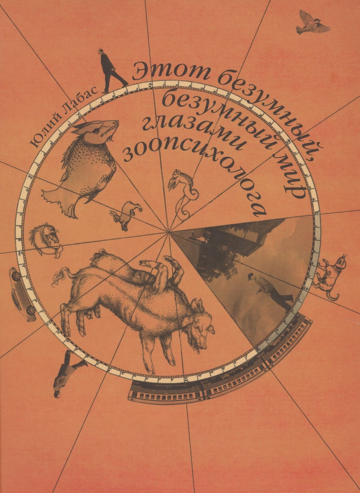 

Этот безумный, безумный мир глазами зоопсихолога