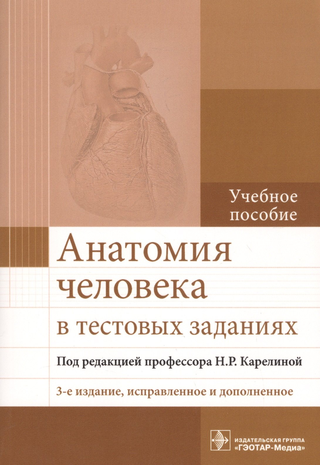 

Анатомия человека в тестовых заданиях Учебное пособие (3 изд.) (м) (Карелина)