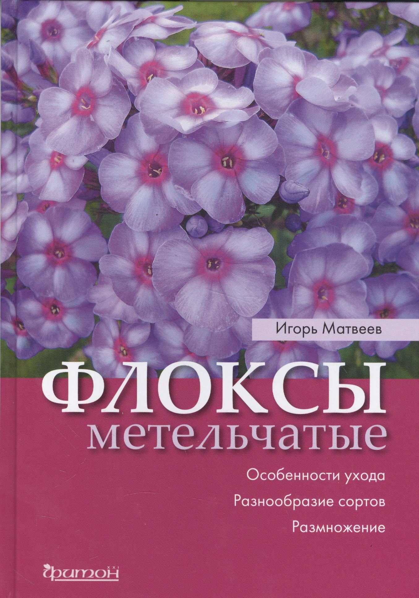 

Флоксы метельчатые