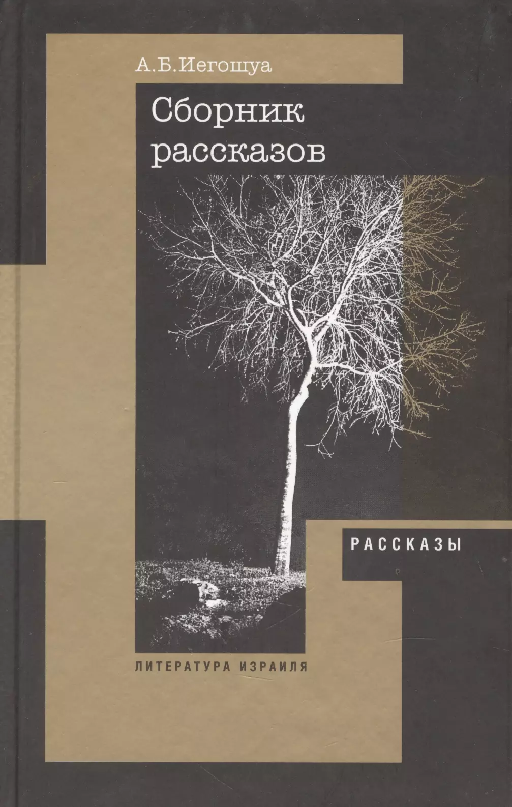 Иегошуа Авраам Б. - Сборник рассказов