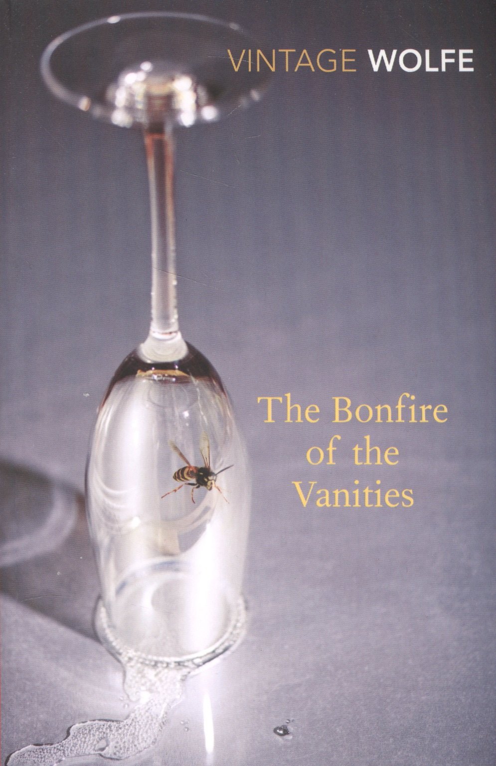 

The Bonfire of the Vanities