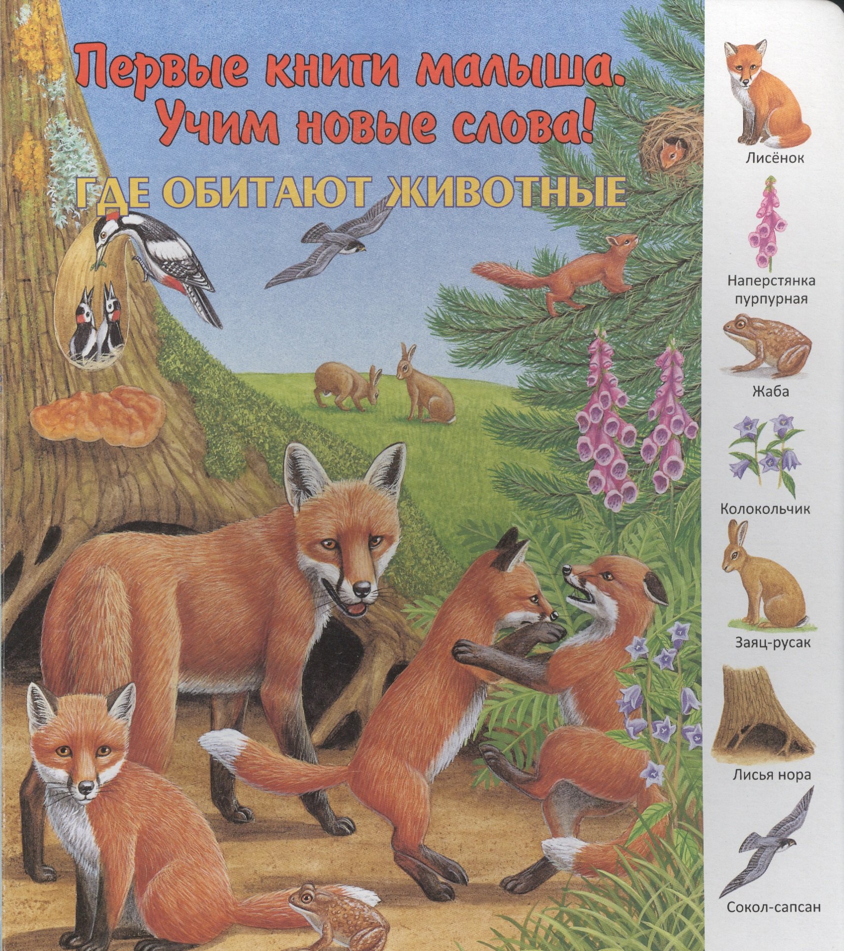 

Где обитают животные (ПерКнМалУчНовСл) (картон) Алиева
