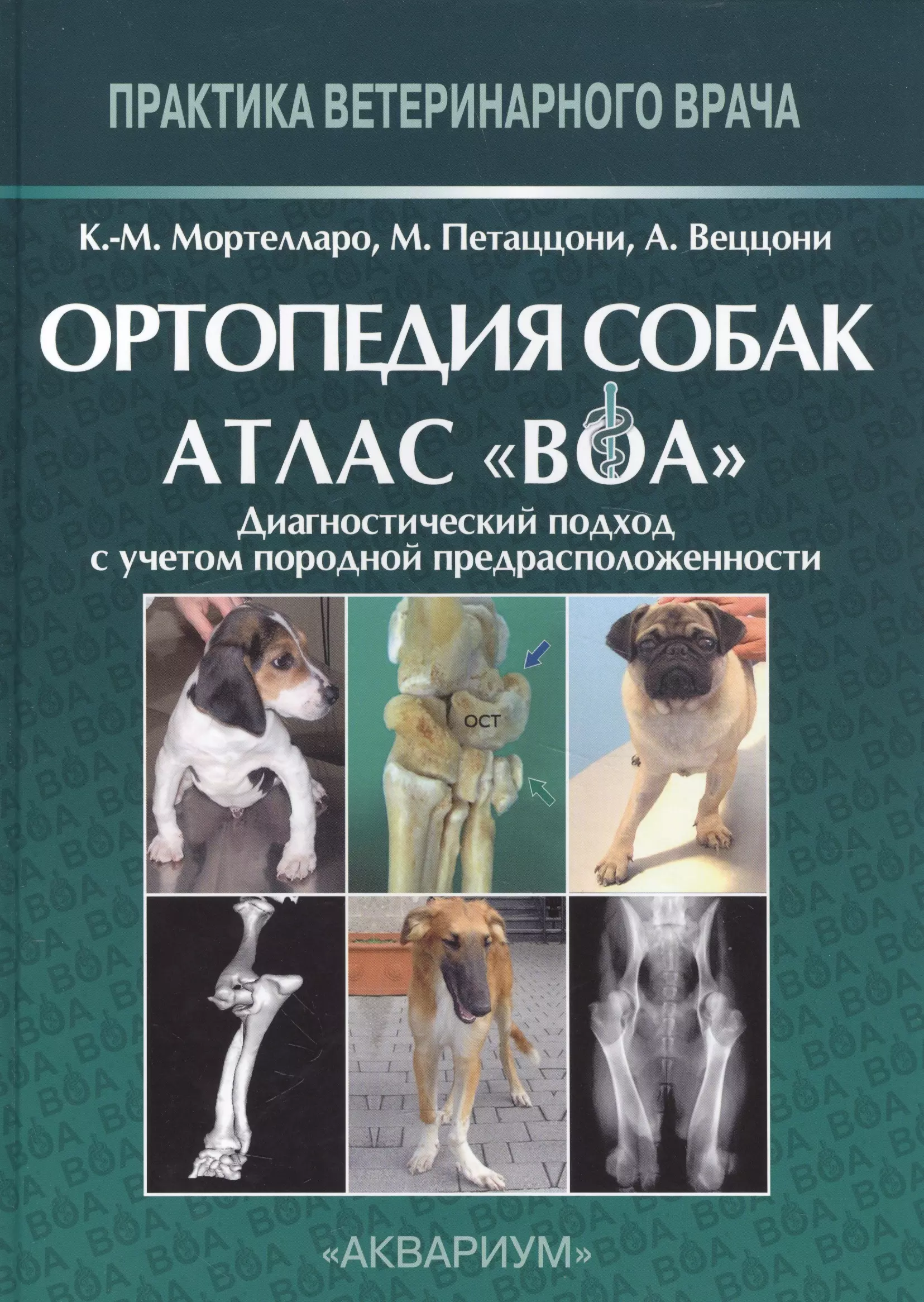 Атлас собак. Ортопедия собак атлас ВОА. Книги по ветеринарии. Ветеринарная ортопедия книга атлас. Книга по ветеринарной ортопедии.