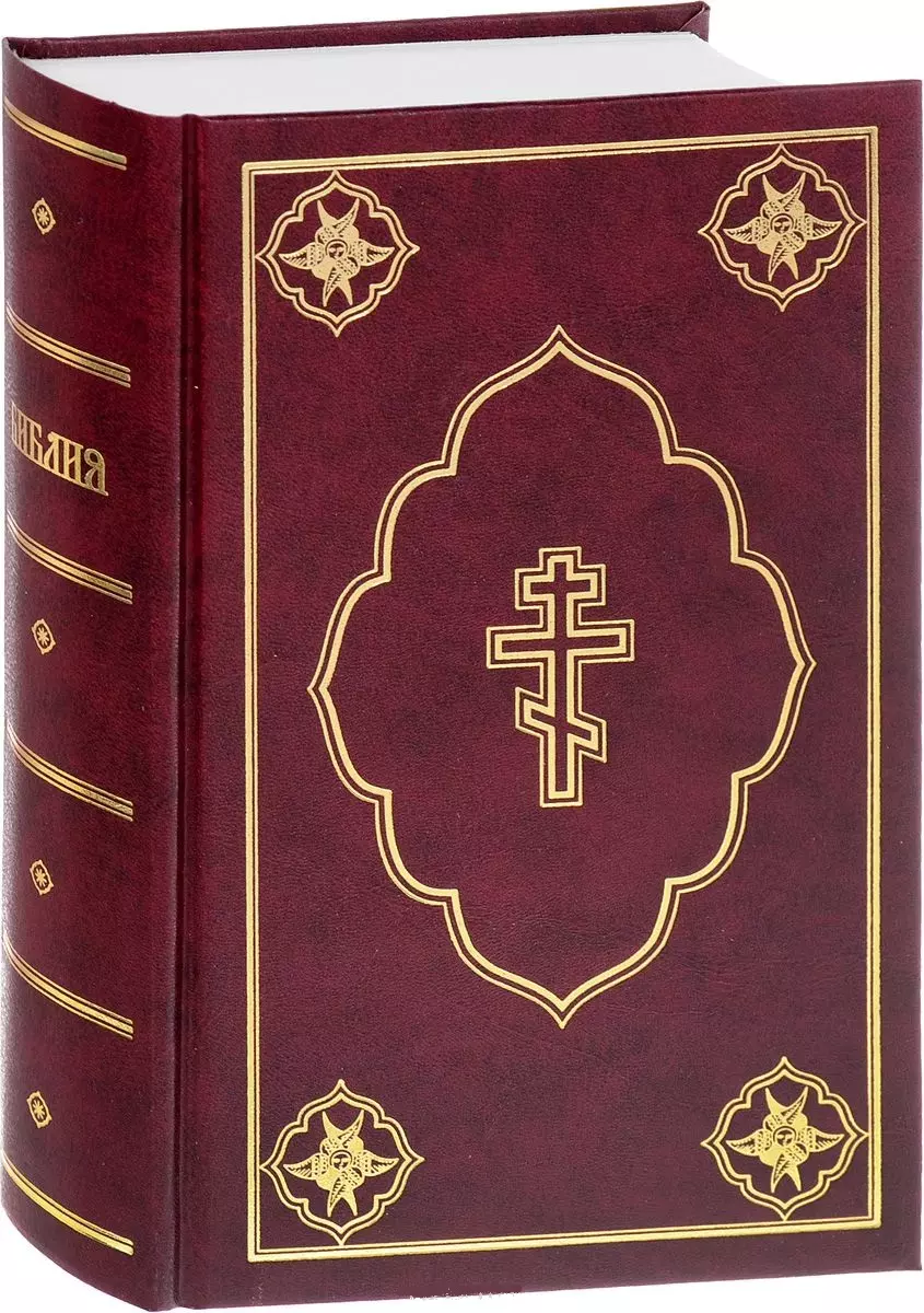 Библи. Библия 053dc бордо. Библия книга. Библия обложка. Христианство книга.