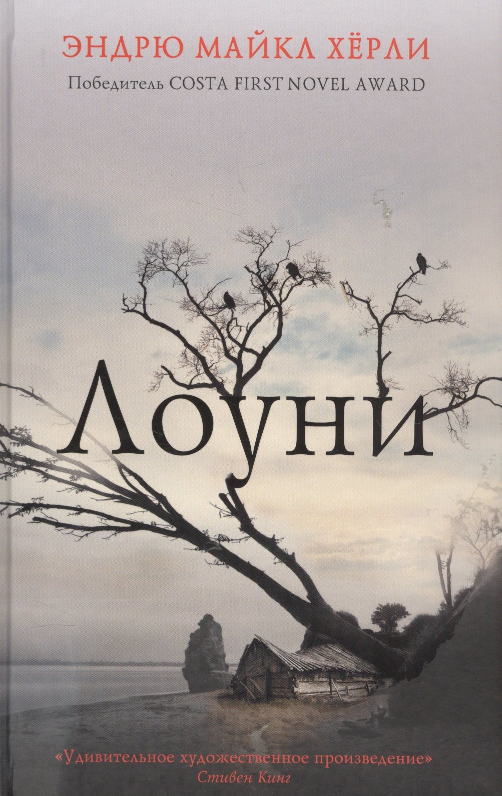

Лоуни: роман