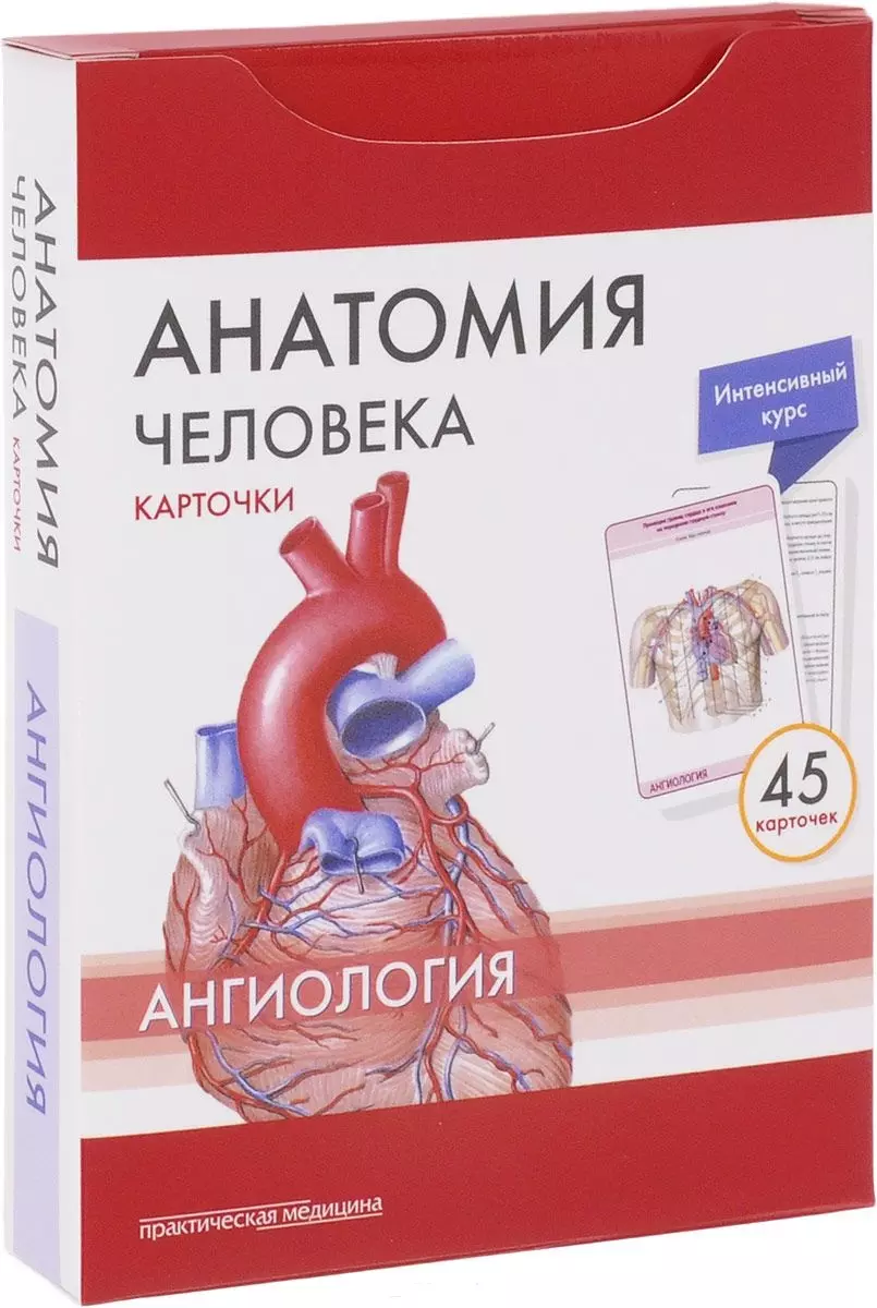 

Анатомия человека Ангиология (45 карт.) (упаковка) Сапин