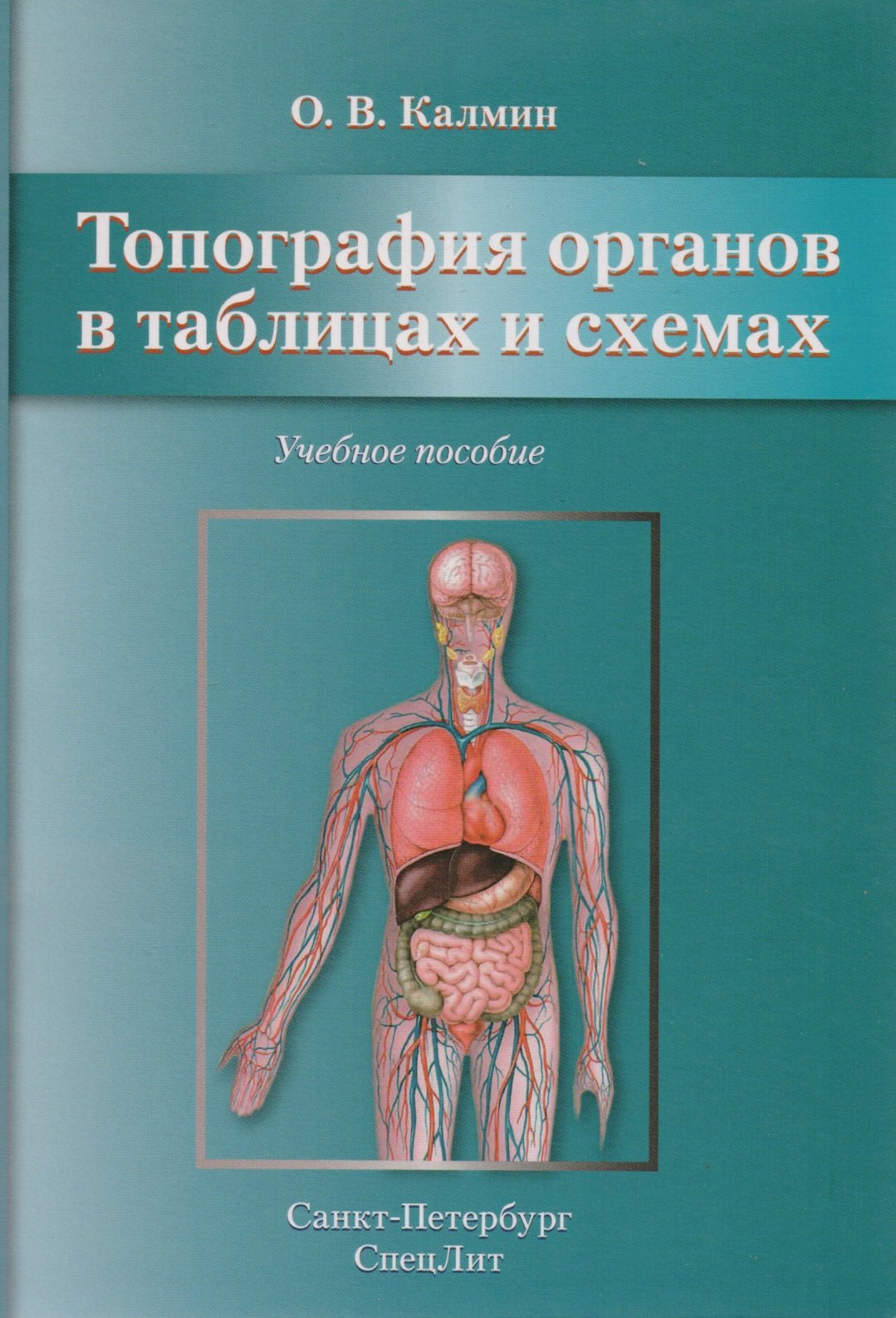 

Топография органов в таблицах и схемах: учебное пособие