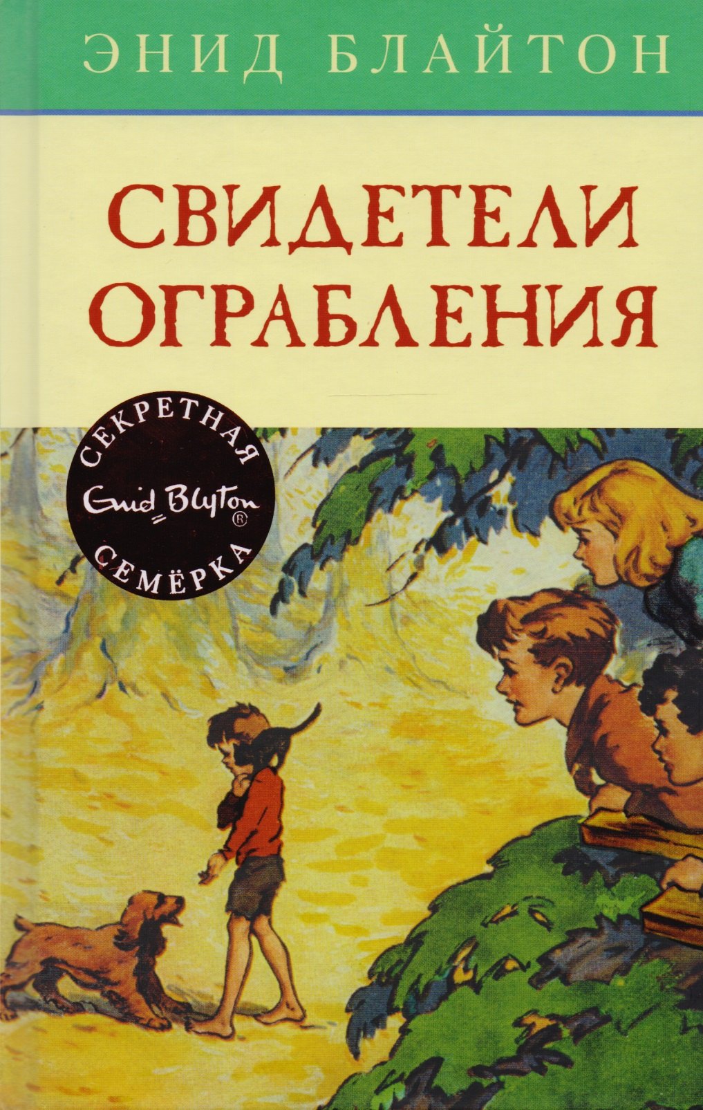 

Свидетели ограбления: приключенческая повесть