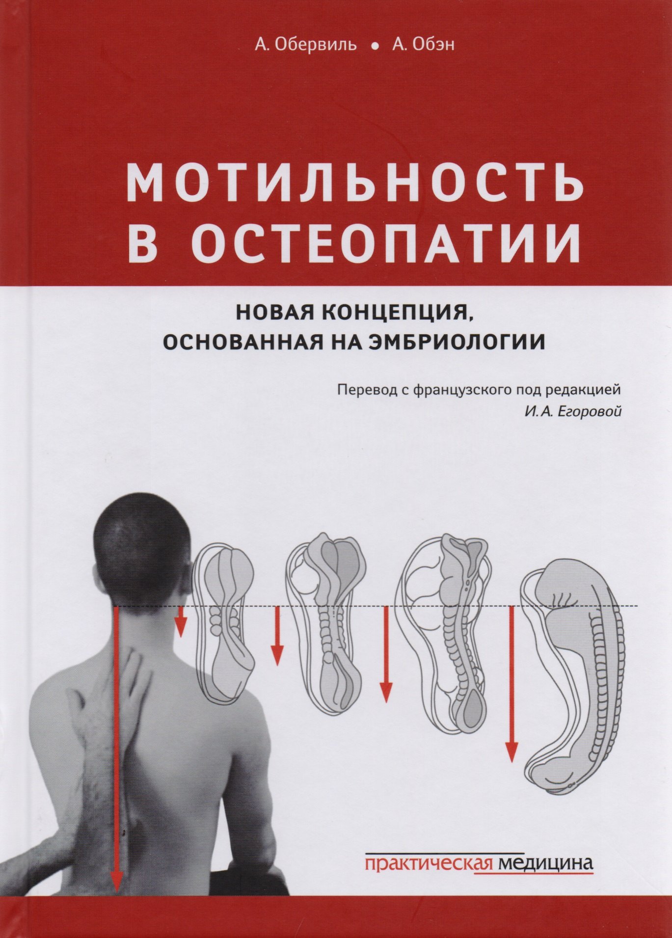 

Мотильность в остеопатии Новая концепция основанная на эмбриологии (Обервиль)