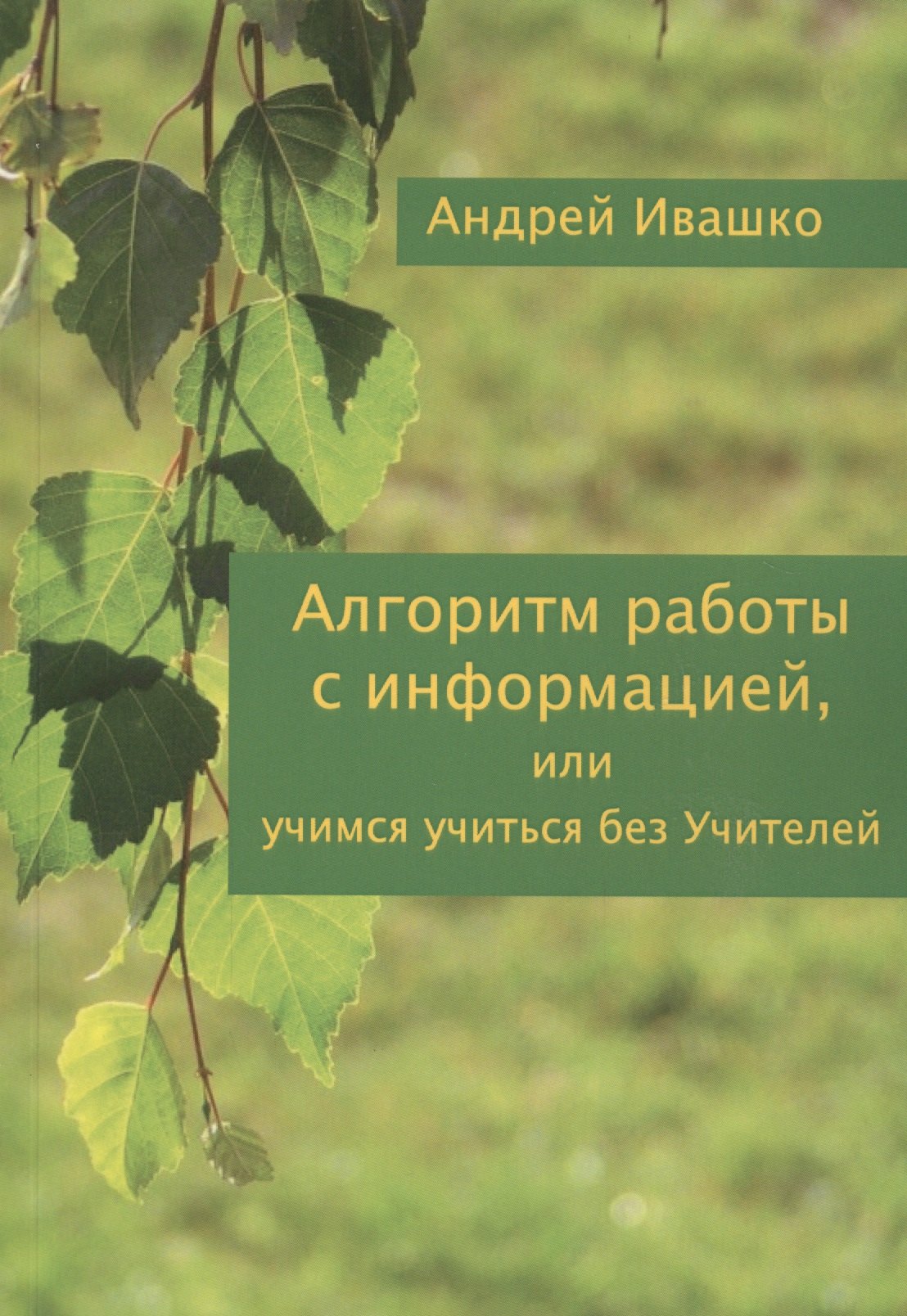 Ивашко Андрей Николаевич - Алгоритм работы с информацией или Учимся учиться без учителей (м) Ивашко