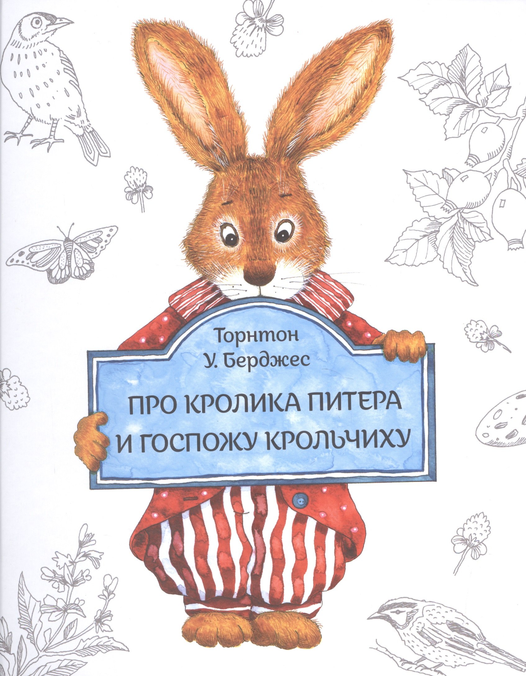 Книга Приключение Кролика Купить