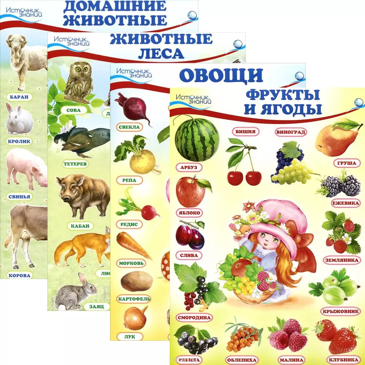 Лучшая энциклопедия в картинках для малышей овощи фрукты ягоды