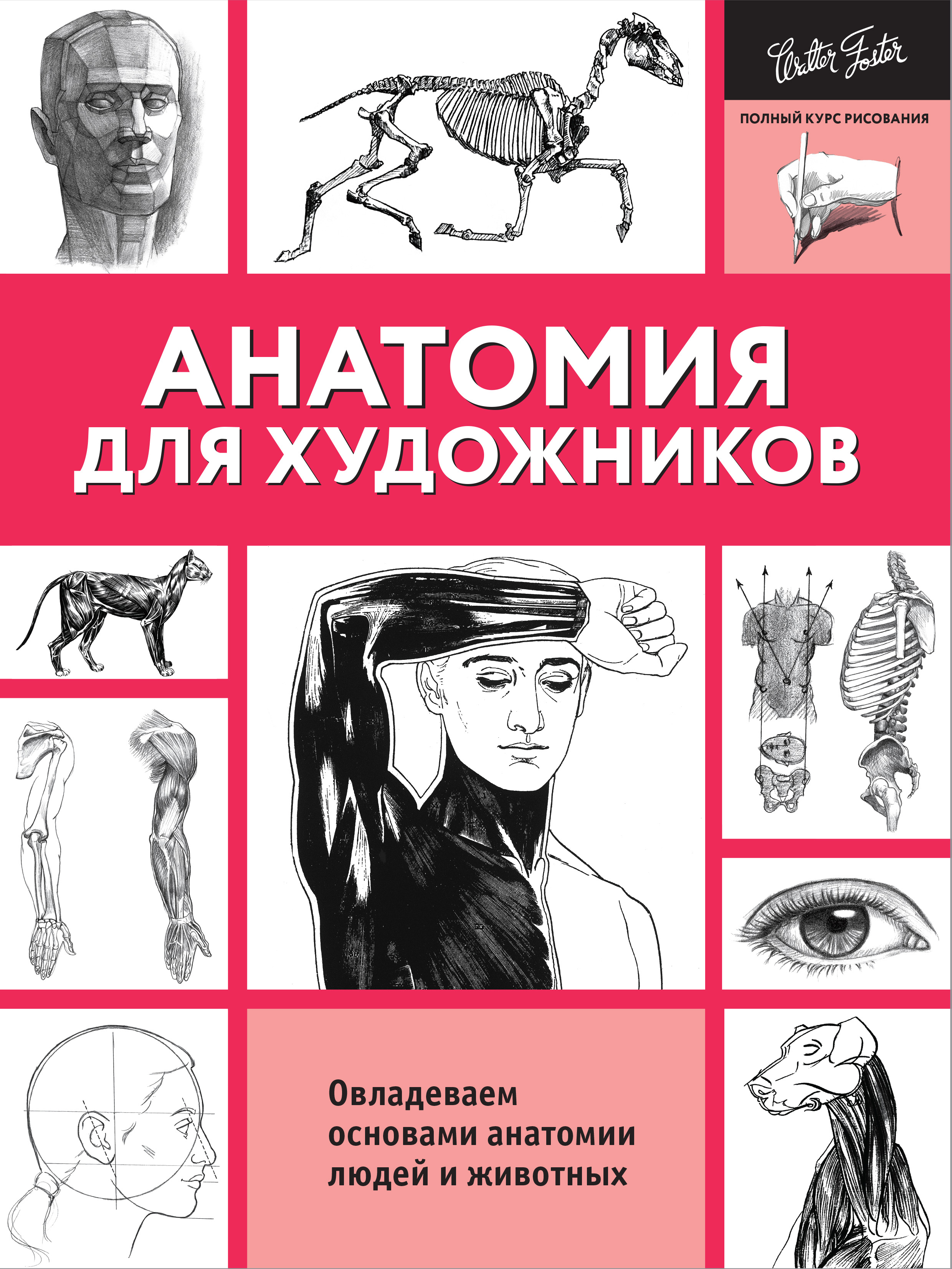 Справочники для художников по анатомии