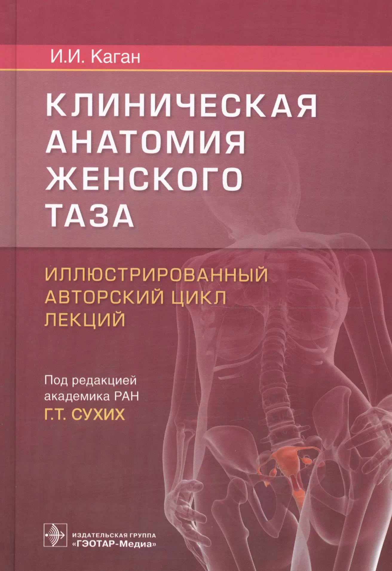 Клиническая анатомия. Клиническая анатомия живота. Иллюстрированный авторский цикл лекций. Клиническая анатомия женского таза. Клиническая анатомия женского таза Каган.