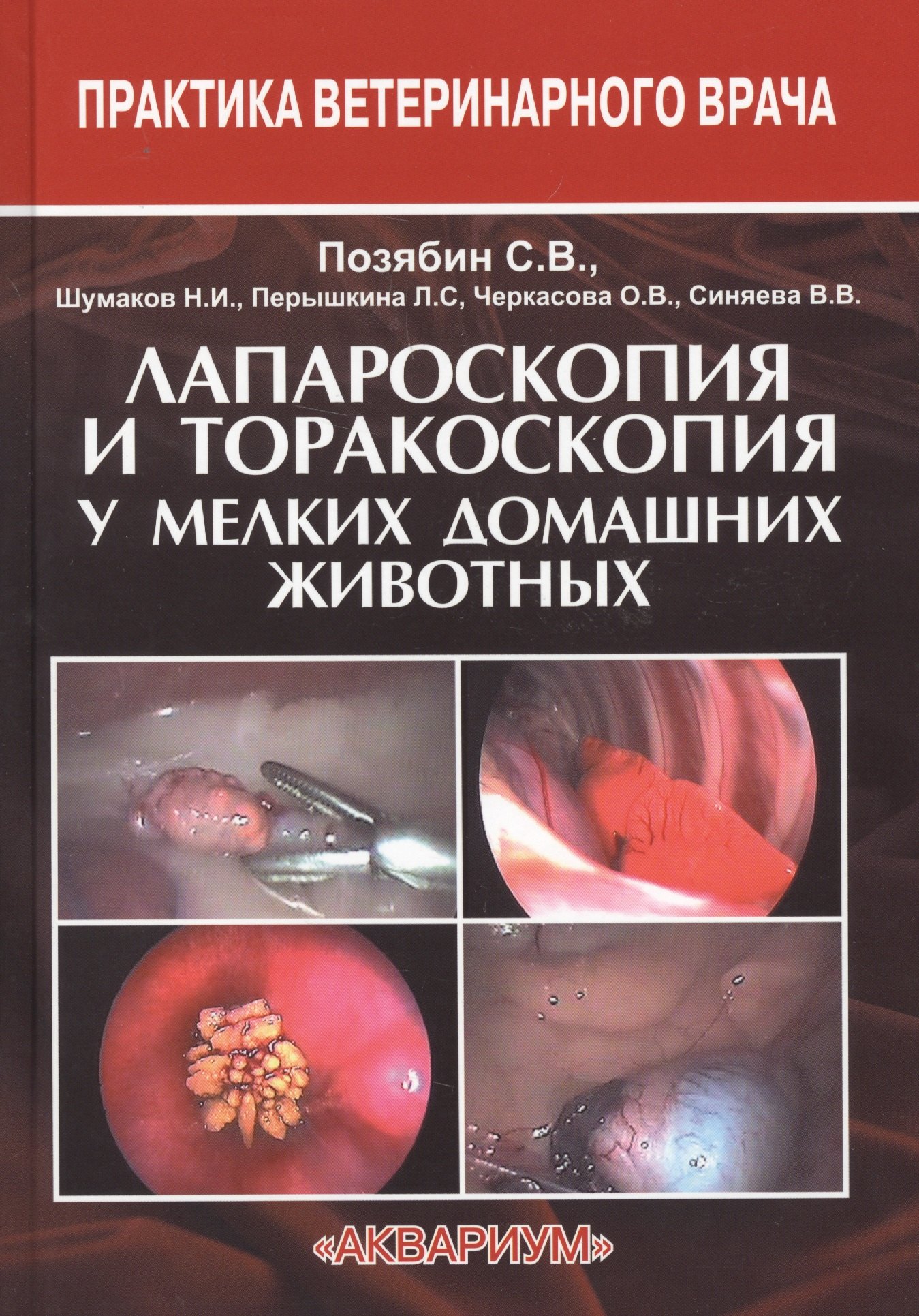 

Лапароскопия и торакоскопия у мелких домашних животных