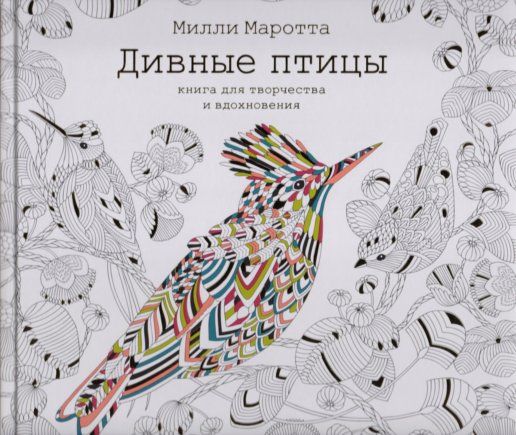 

Дивные птицы. Книга для творчества и вдохновения