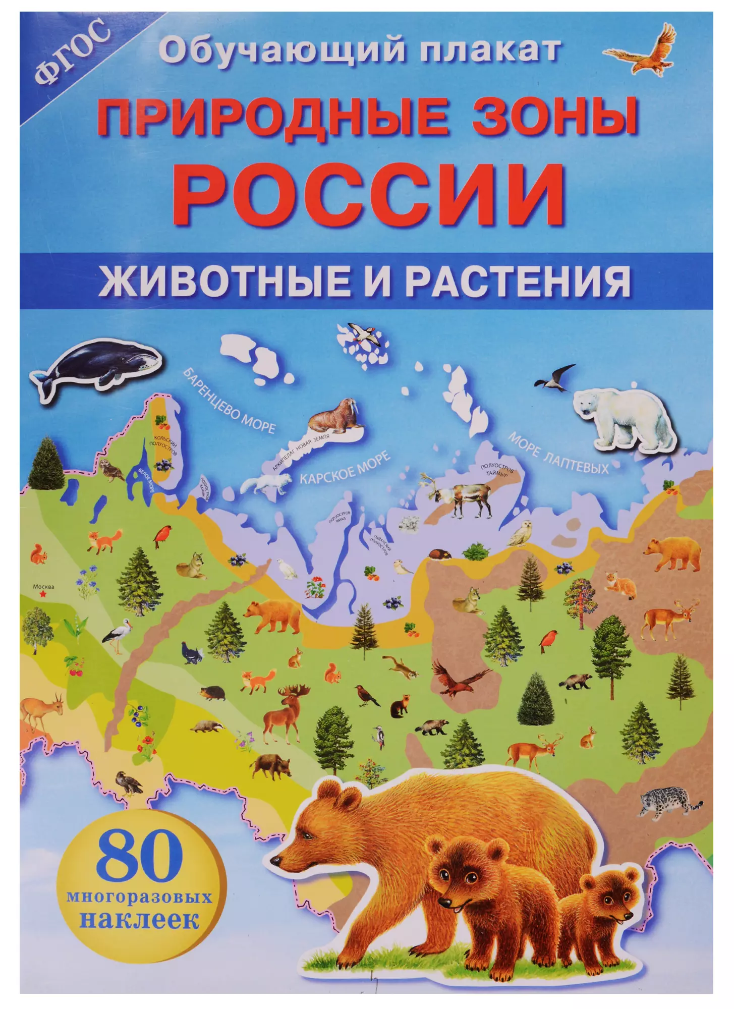 Животные природных зон. Природные зоны. Природные зоны России жи. Природные зоны России. Плакат. Животные природных зон России.