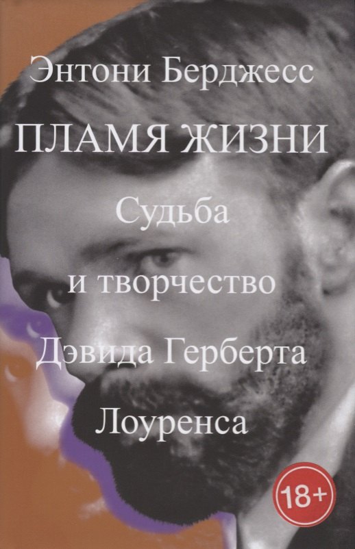 

Пламя жизни.Судьба и творчество Дэвида Герберта Лоуренса +с/о