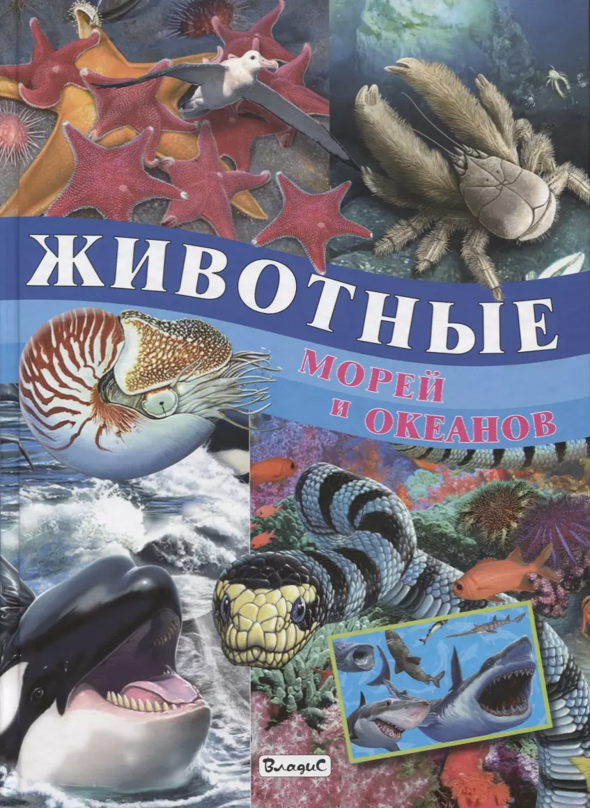 Морские обитатели книги. Книга морские обитатели. Обитатели морей и океанов книга. Обитатели морей и океанов для детей. Книжки про морских обитателей.