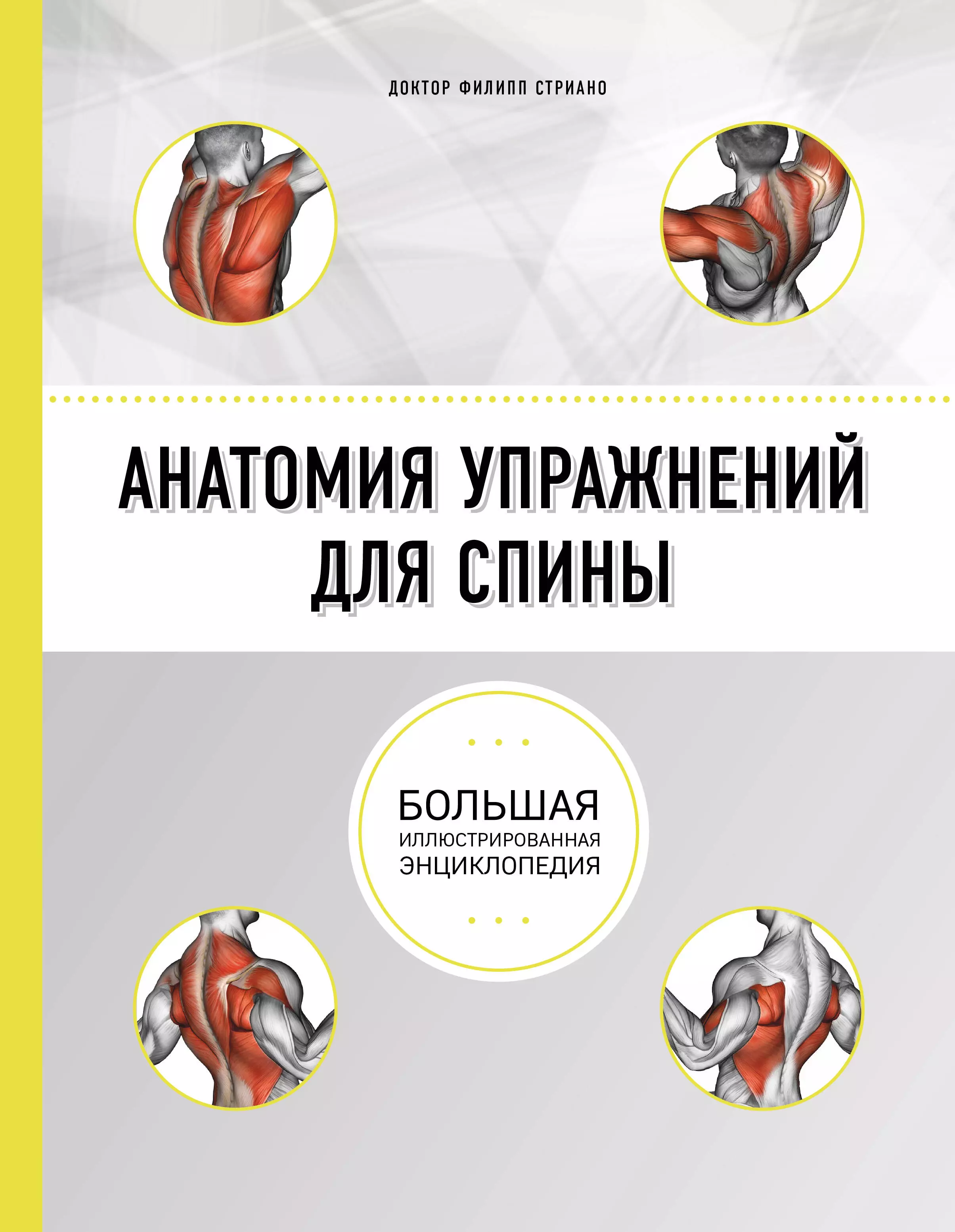 Стриано Филипп, Буслова Элеонова Эдуардовна - Анатомия упражнений для спины. 2-е издание