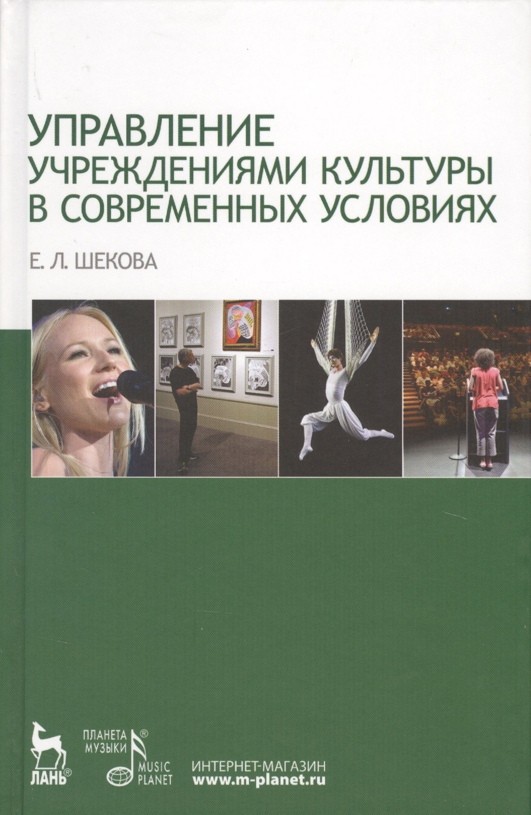 

Управление учреждениями культуры в современных условиях: Учебное пособие