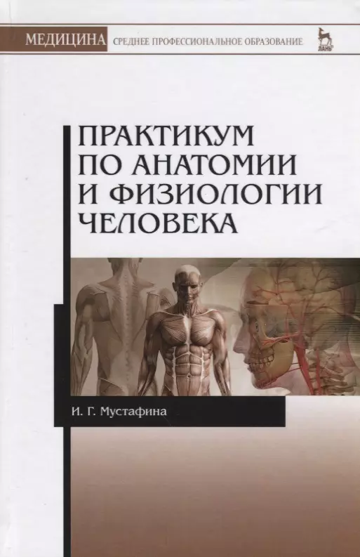 Репетитор по анатомии для студентов. Практикум по анатомии. Практикум по физиологии человека. Практикум по анатомии человека. Учебник по анатомии и физиологии.