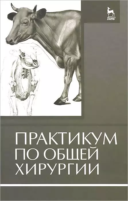 Семенов Борис Степанович - Практикум по общей хирургии: Учебное пособие