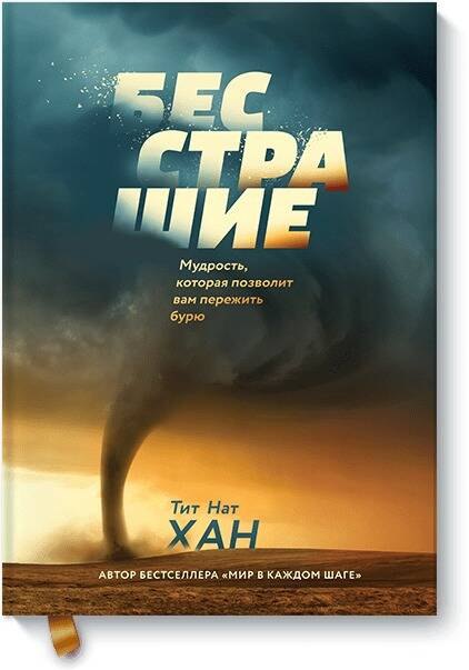 

Бесстрашие. Мудрость, которая позволит вам пережить бурю