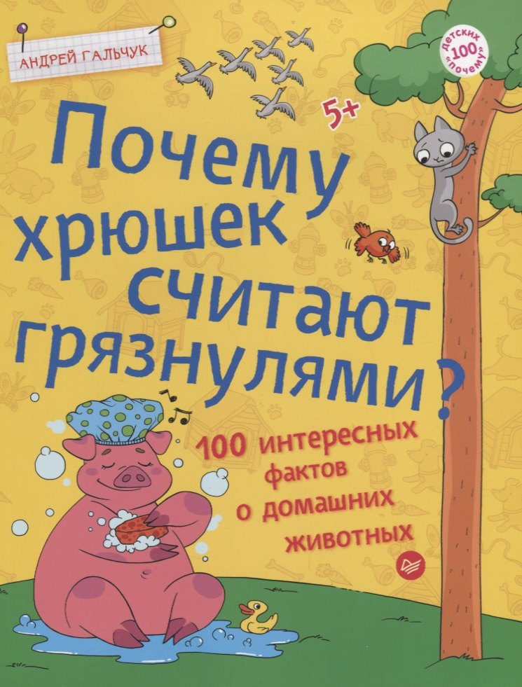

Почему хрюшек считают грязнулями 100 интересных фактов о домашних животных