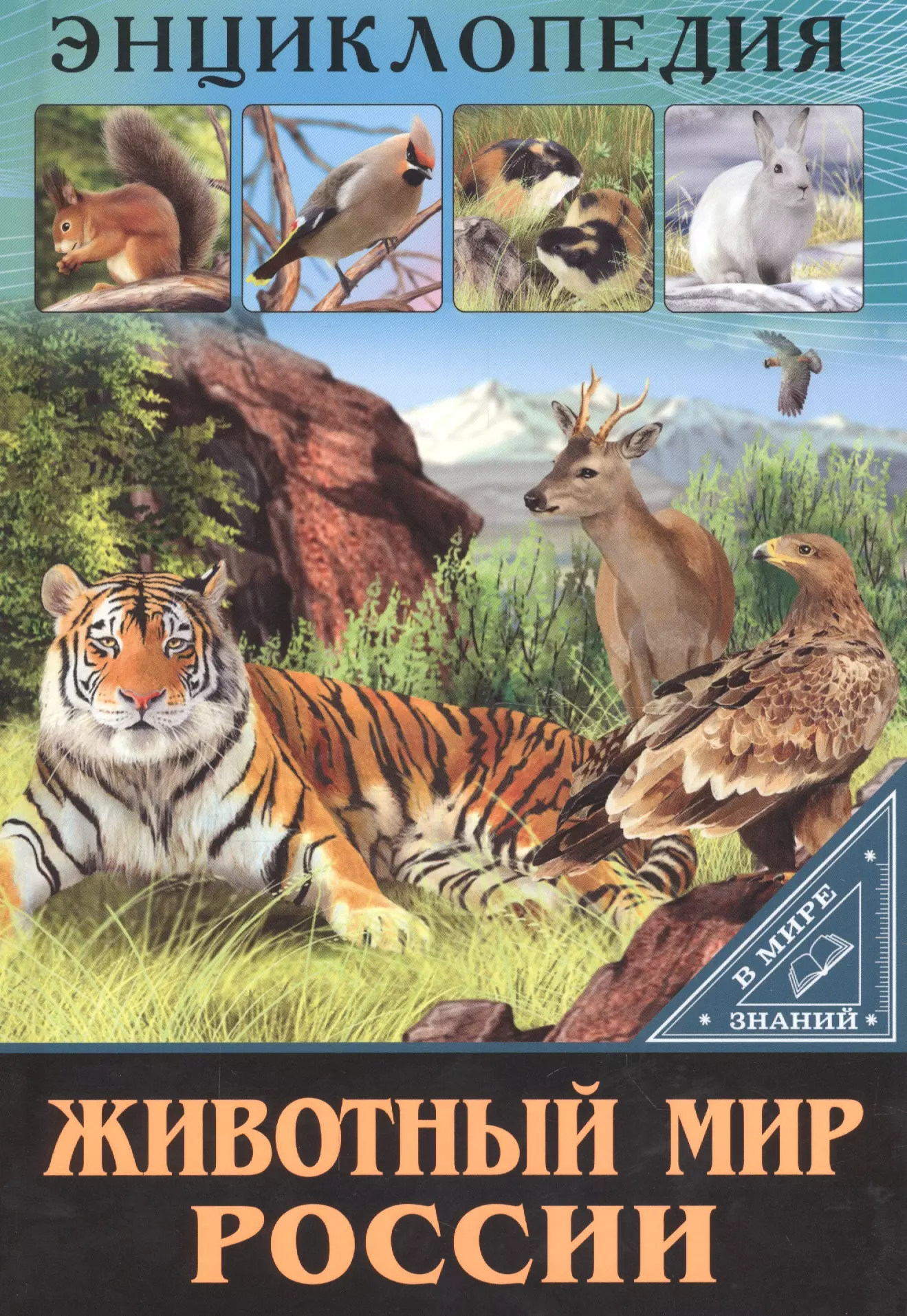 Книги про животных. Энциклопедия. В мире знаний. Животный мир России. Энциклопедия животный мир России. Энциклопедия проф-пресс в мире знаний. Животный мир России. Энциклопедия для детей.