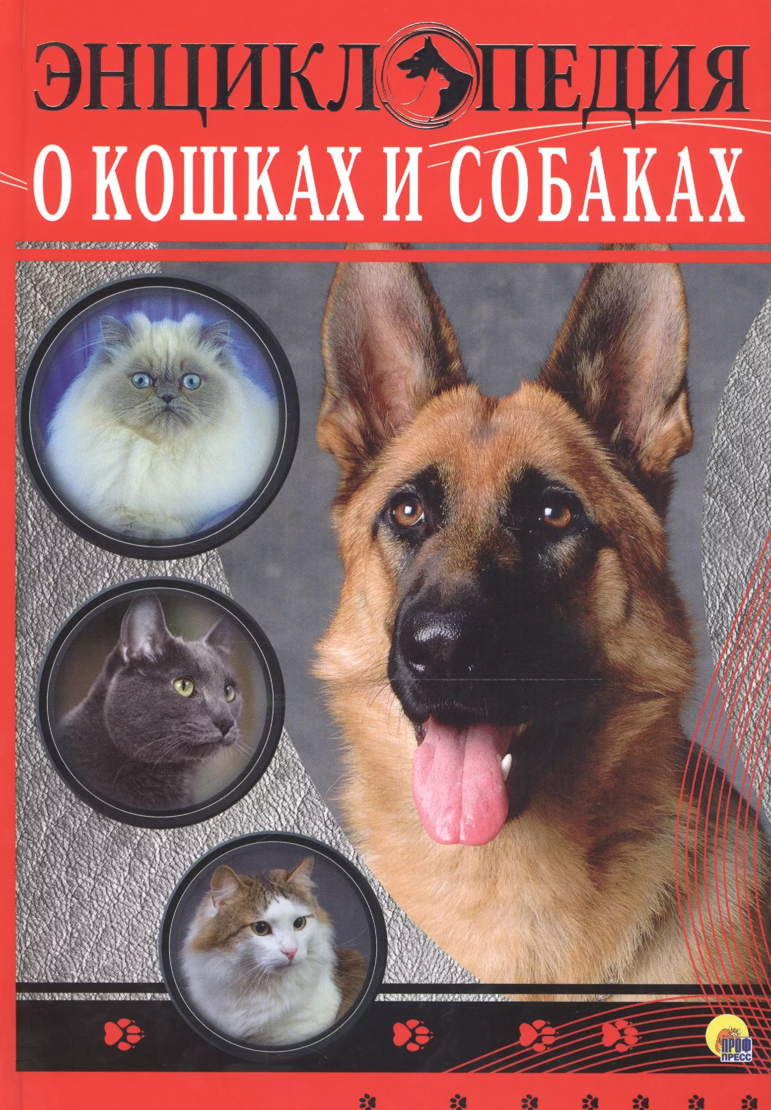 Книги про собак. Энциклопедия о кошках и собаках Тяжлова. Энциклопедия о кошках Соколова, Ярослава. Собака с книжкой.